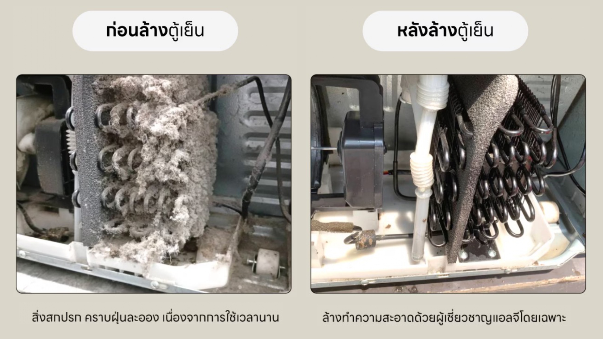 Care Service 100425_page-0005